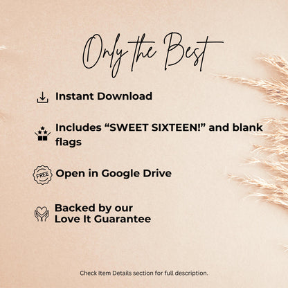 Sage Green Sweet Sixteen Banner Sage Green Party Banner Letters Banner Sage Green Teen Party Sweet 16 Flag Happy Birthday Flags 0003